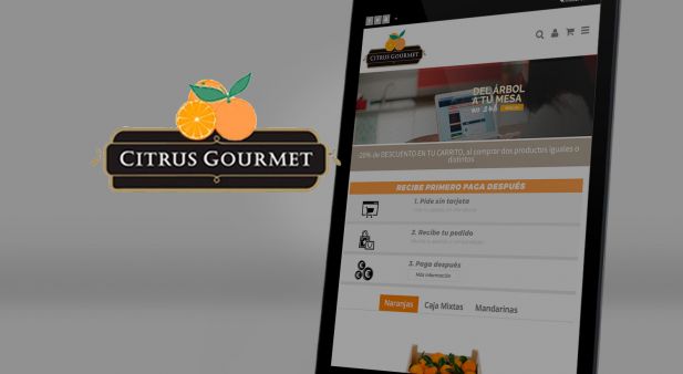 Citrus Gourmet